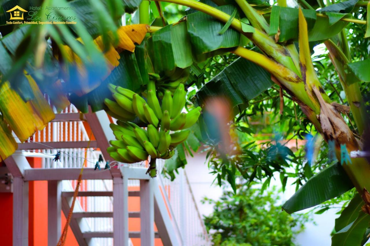 Hotel Y Apartments Los Cisneros Managua Zewnętrze zdjęcie