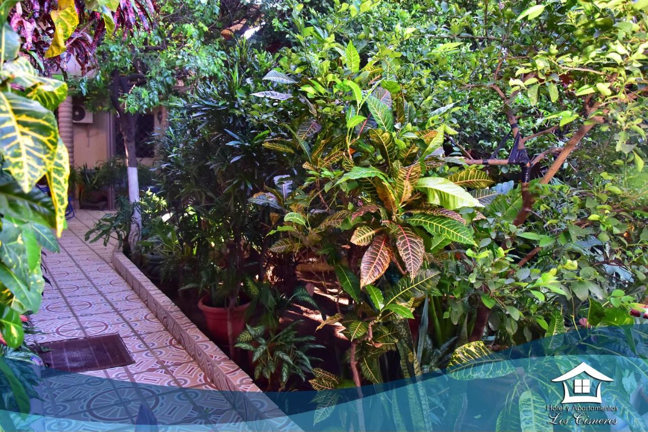 Hotel Y Apartments Los Cisneros Managua Zewnętrze zdjęcie